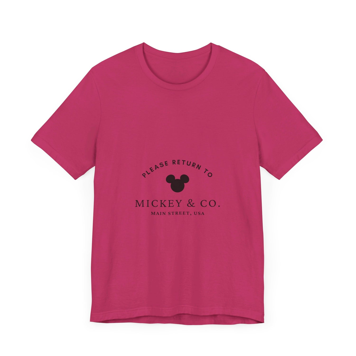 Please Return to Mickey and Co Main Street USA Disney T-Shirt
